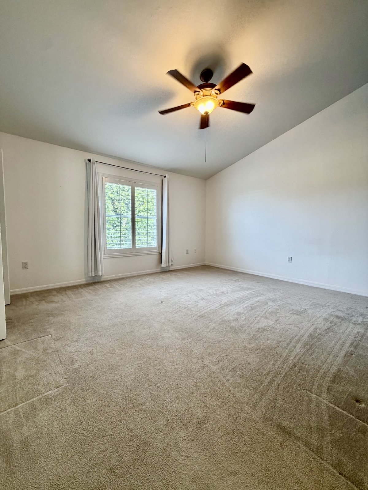 3638 Pine Oak Circle - 105 property image