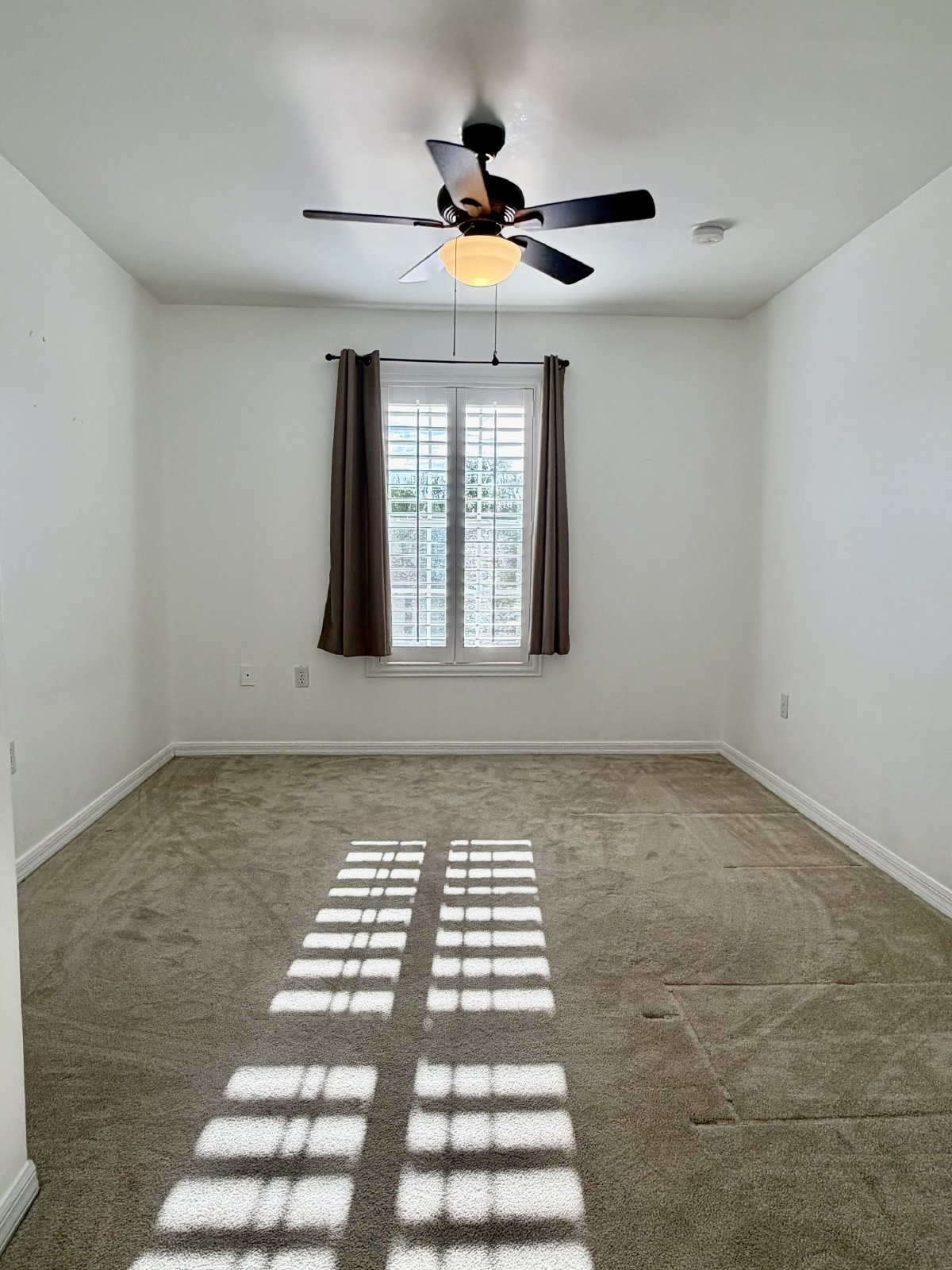 3638 Pine Oak Circle - 105 property image